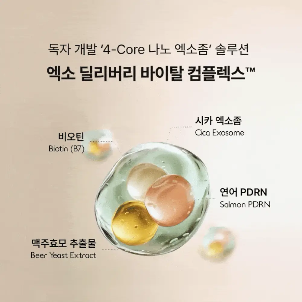 [5종임상완료/4주탈모케어] 애쉬로렌 맥주효모 바이탈 스칼프 앰플 100ml 상세페이지 6
